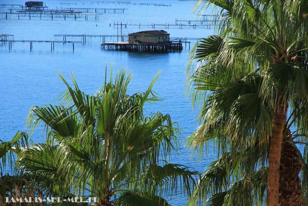 La Digue, 2 Chambres, Vue Mer Et Piscine La Seyne-sur-Mer Kültér fotó