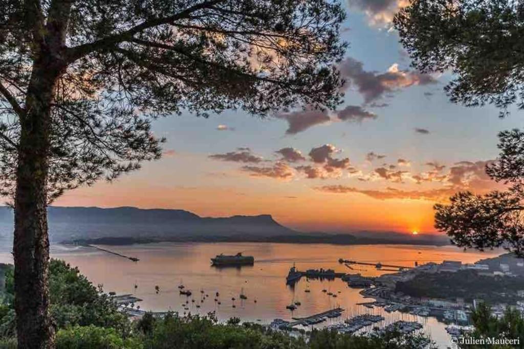 La Digue, 2 Chambres, Vue Mer Et Piscine La Seyne-sur-Mer Kültér fotó